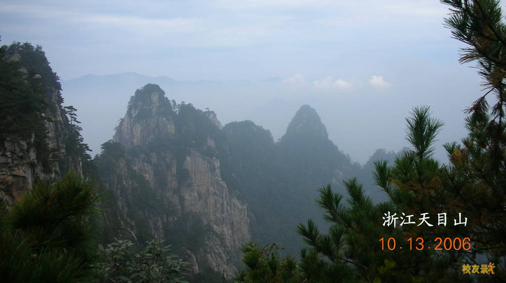浙江天目山 ...