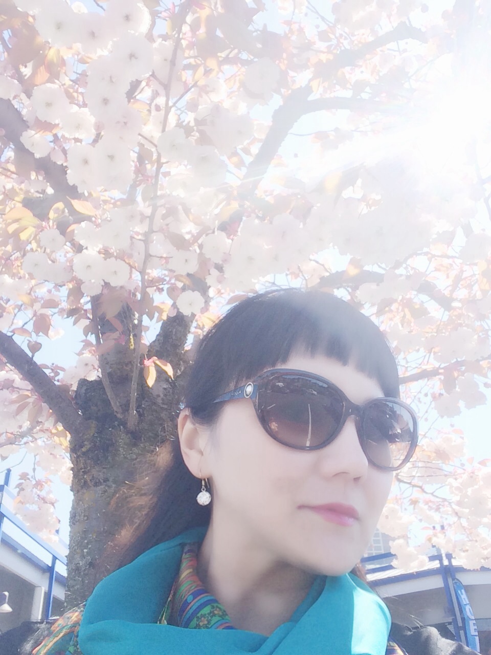 樱花