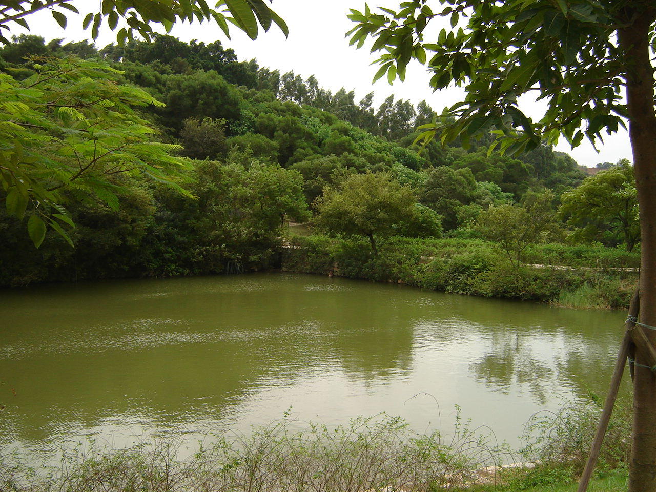 泉州森林公园 ...