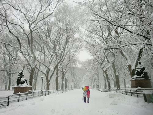 Snow  Central Park