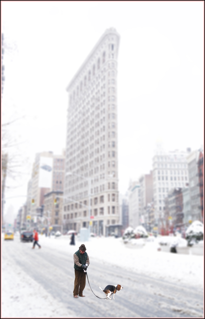 walking with a dog,flat iron building