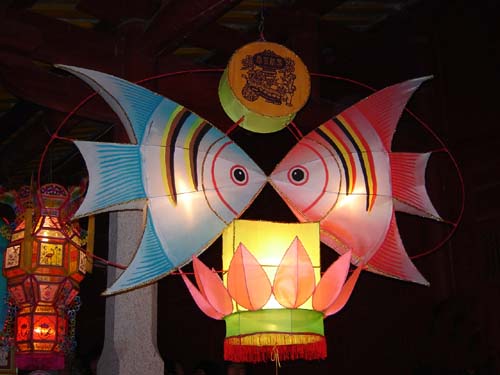 鱼灯 ...