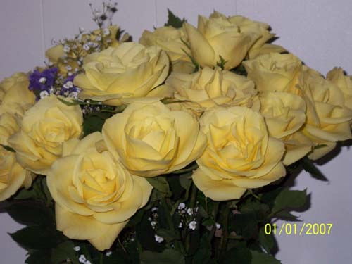 photo ...