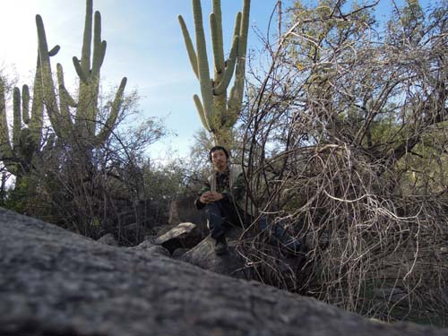 仙人掌 TUCSON AZ