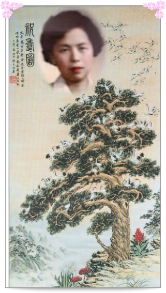 庆贺信天游大 ...