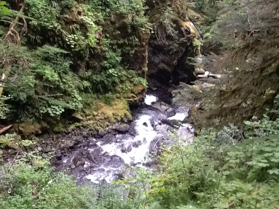 Sol Duc Olympic