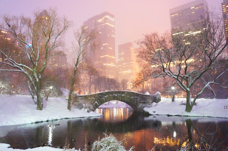 night pond central park