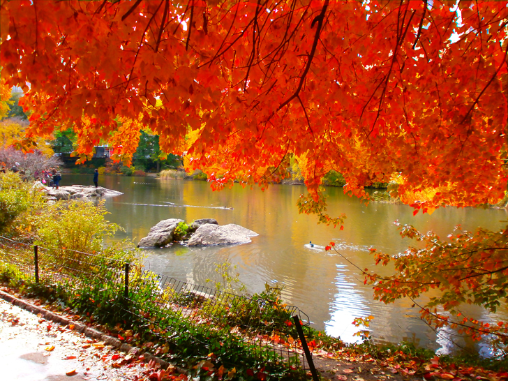 pond central park