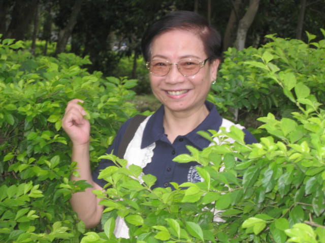 我的相片-( ...