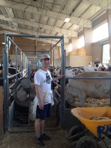 San Diego County Fair - Del Mar, California