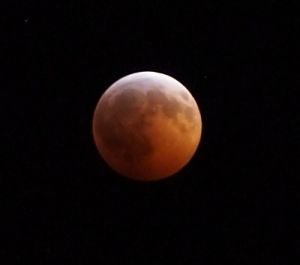 2010年12月21日，月食的那天，在后院所拍到的月亮！