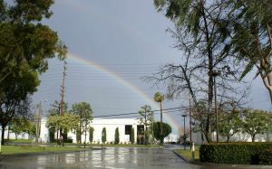 Lucky Rainbow at La Mirada Ca. 02-2009