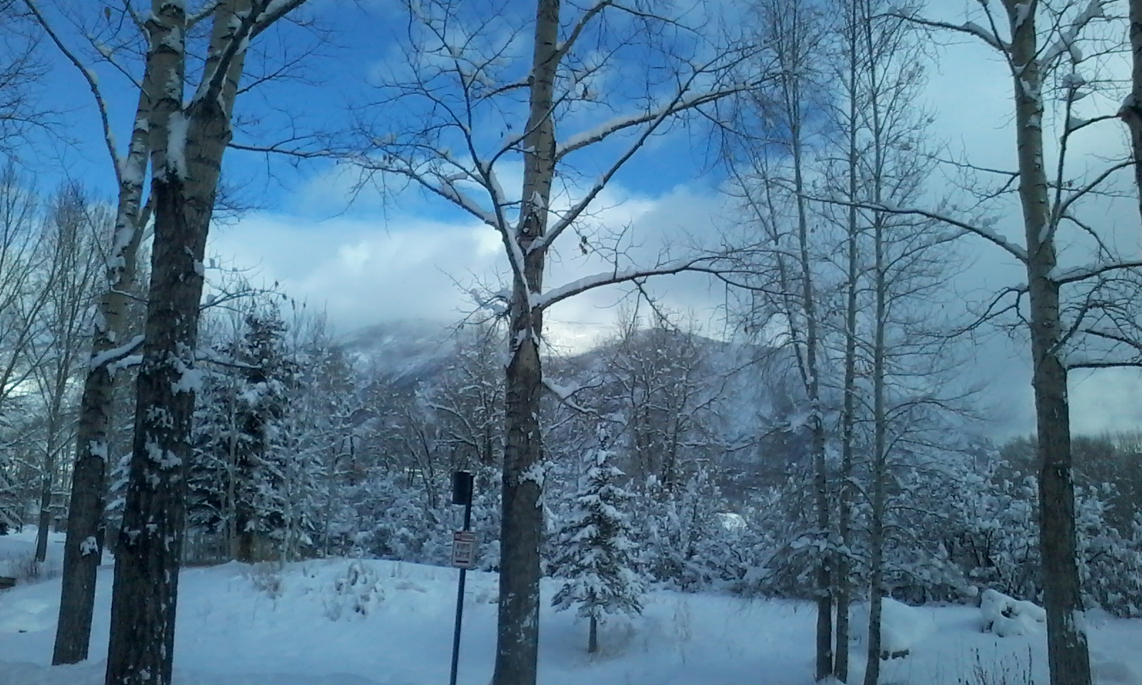 ASPEN 的雪景